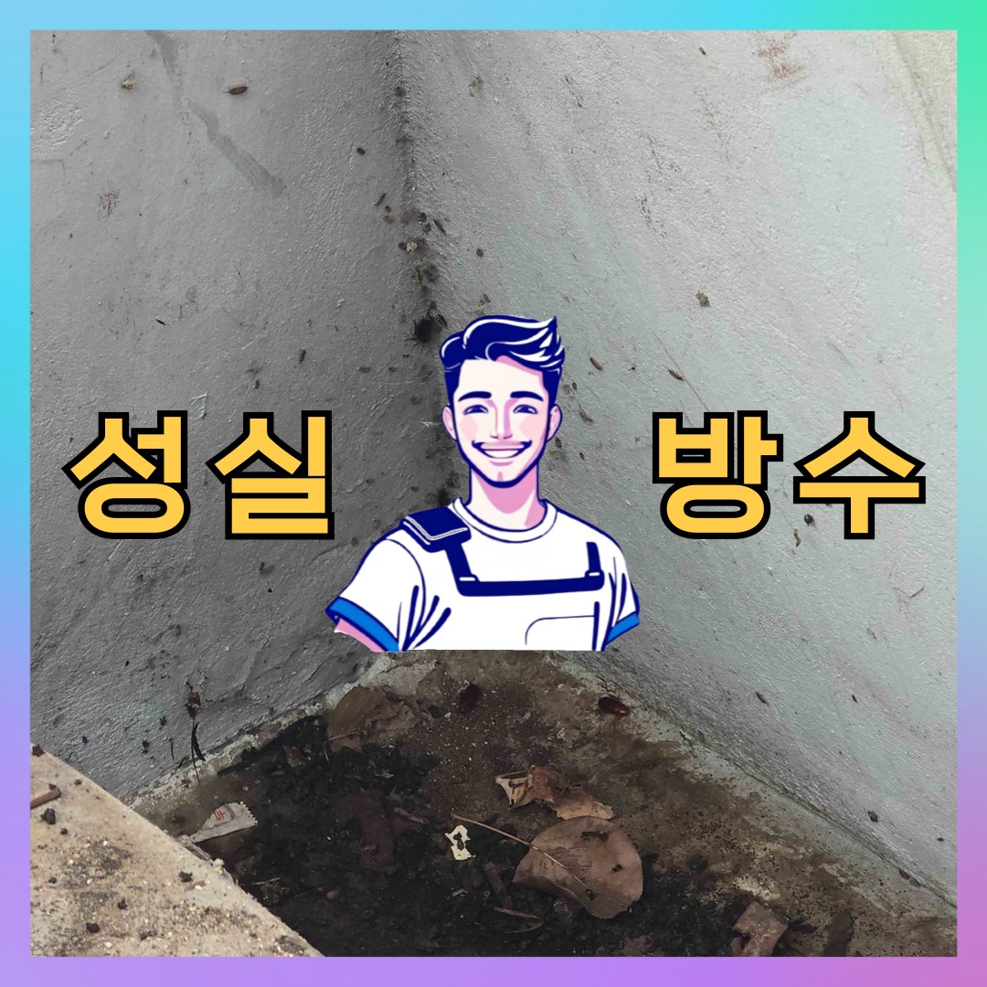 성실방수 대표 썸네일