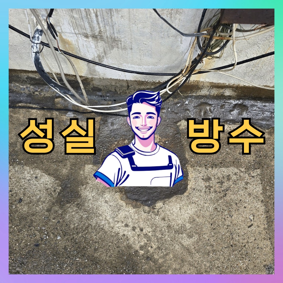 성실방수 대표 썸네일